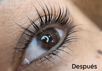Pestañas rizadas y levantadas con tratamiento de lash lift