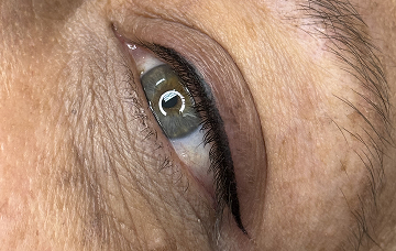 cejasnela-delineado-de-ojos